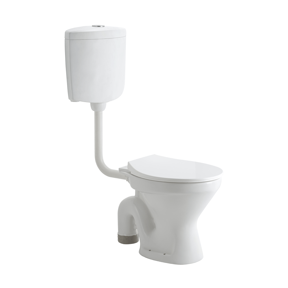 ASFM1003TWSN G1003 FLOOR MOUNT TOILET SLIM PP TW