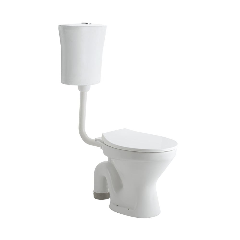 ASFM1004TWSN G1004 FLOOR MOUNT TOILET SLIM PP TW