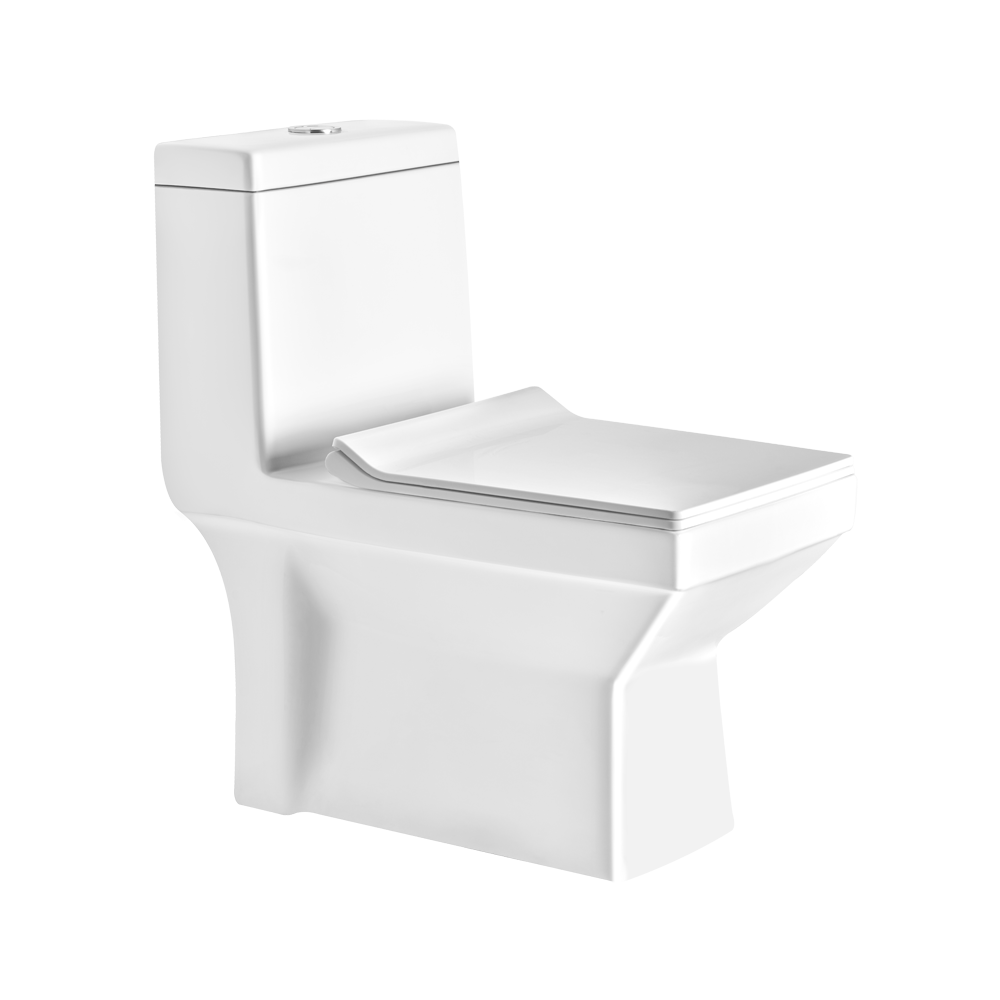 ASOP3008TWSP P3008 ONE PIECE TOILET SLIM PP SOFT TW