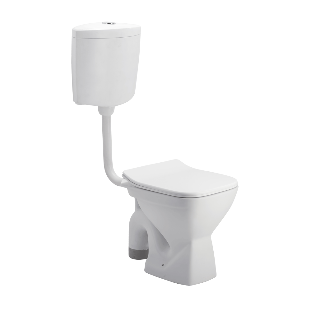 ASFM3010TWSN P3010 FLOOR MOUNT TOILET SLIM PP TW