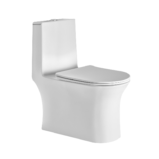 [ASOP5005TWSD] ASOP5005TWSD I5005 ONE PIECE TOILET SLIM DUROPLAST TW