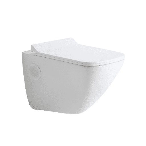 [ASWH3002TWSP] ASWH3002TWSP P3002 WALL HUNG TOILET SLIM PP SOFT TW