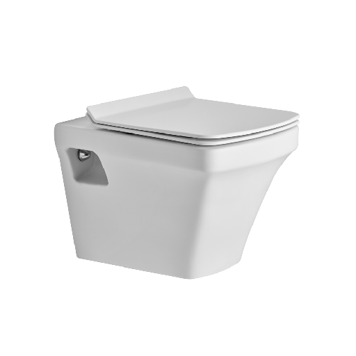 [ASWH3003TWSD] ASWH3003TWSD P3003 WALL HUNG TOILET SLIM DUROPLAST TW