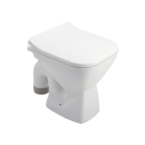 [ASFM3006TWSN] ASFM3006TWSN P3006 FLOOR MOUNT TOILET SLIM PP TW