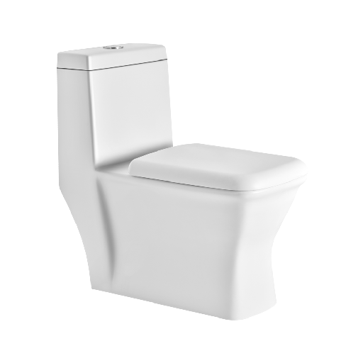 [ASOP3009TWPS] ASOP3009TWPS P3009 ONE PIECE TOILET PP SOFT CLOSE TW